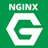 Nginx大师